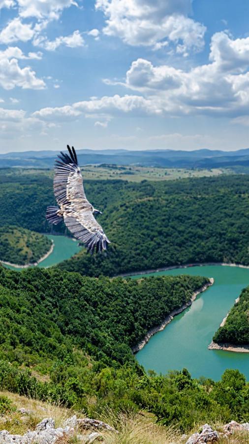 Milanova Koliba Zlatar Villa Nova Varoš Buitenkant foto