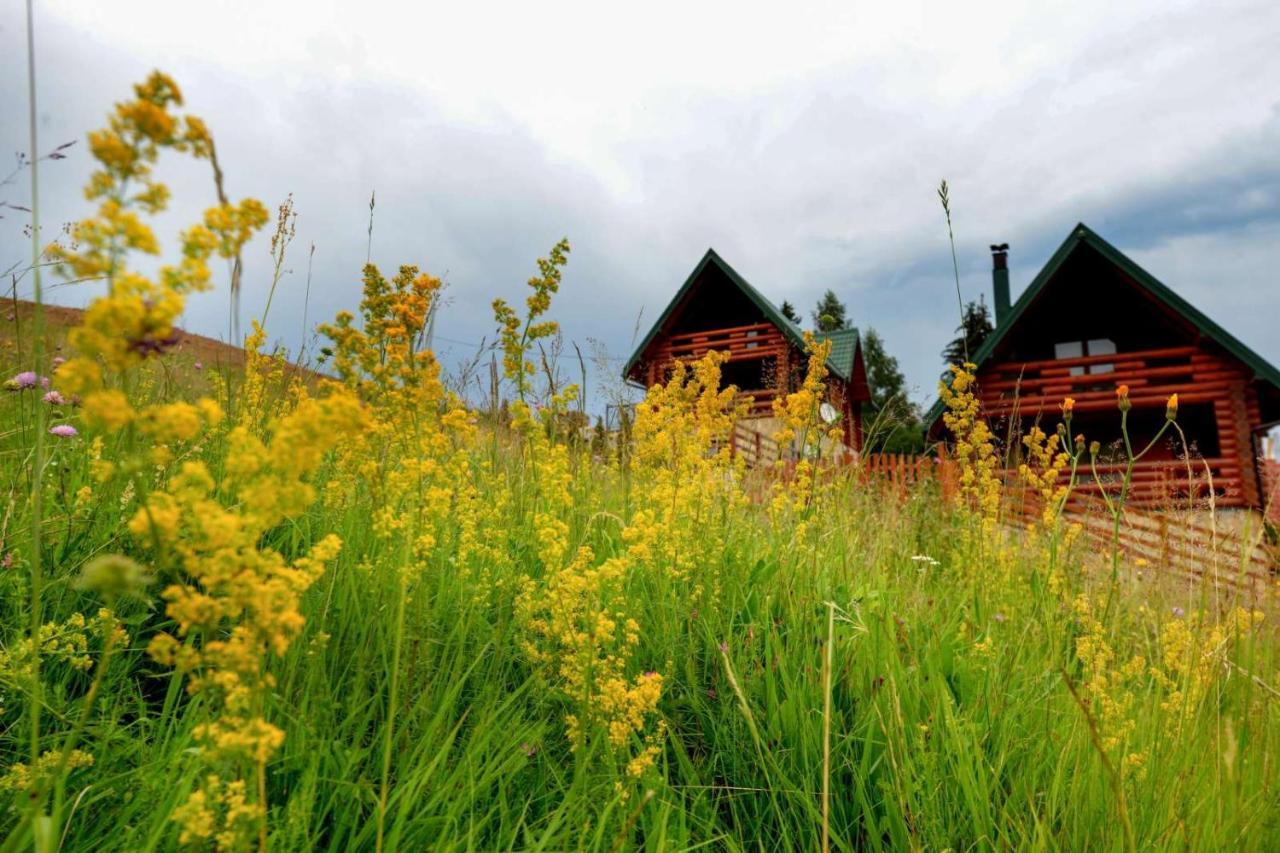 Milanova Koliba Zlatar Villa Nova Varoš Buitenkant foto